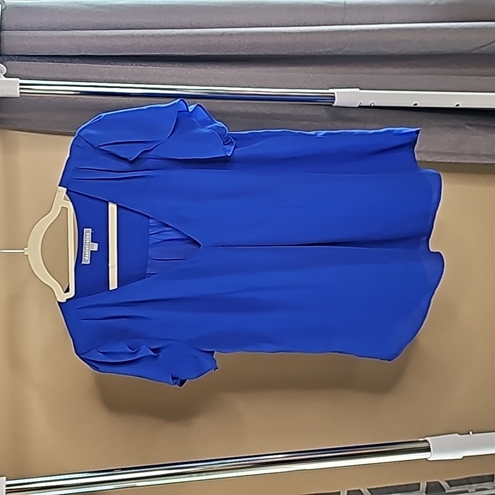 Sheer Blouse with butterfly sleeves